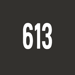 613Ventures.vc logo