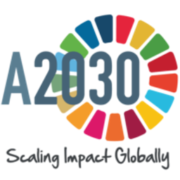Accelerate2030 logo