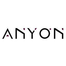 Anyon Systems image
