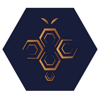 Be-eCoaching logo