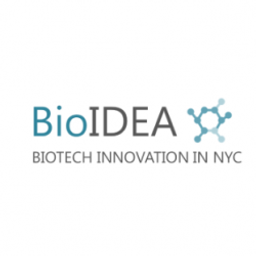 Bioidea Group logo