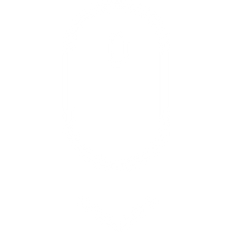 Biz Accelerator logo