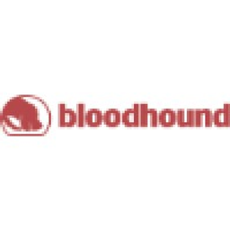 Bloodhound Partners logo