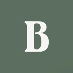 Bonum Ventures logo