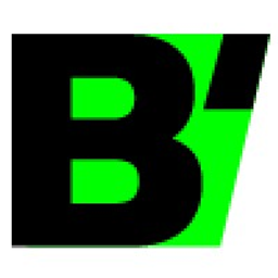 B'WISE - de turbo voor jouw startup! logo