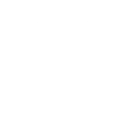 Charleston Venture Conference logo