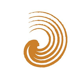 Dhriiti - The Courage Within logo
