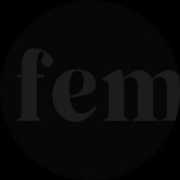 Feminvest Ventures logo