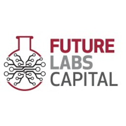 Future Labs Capital, LLC image