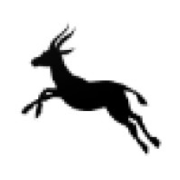 Gazelle Accelerator logo