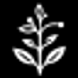Honeysuckle Capital logo