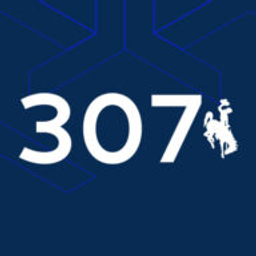 IMPACT 307 logo