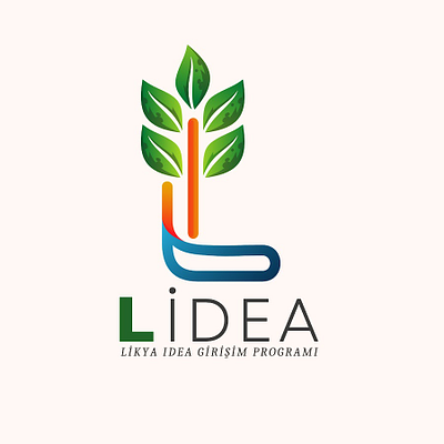 Lidea Girişim Programı logo