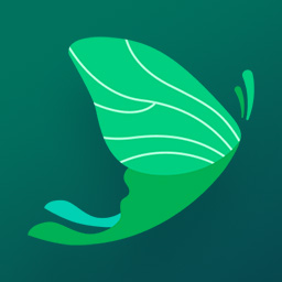 Level Up Nonprofit Accelerator logo