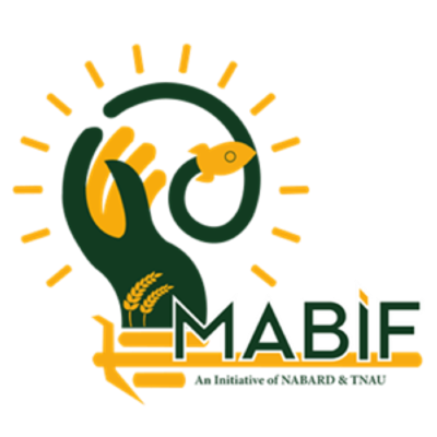 NABARD MABIF logo