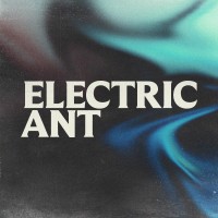 Electric Ant logo