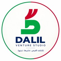dalilventurestudio logo