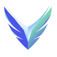 The Virani Company logo