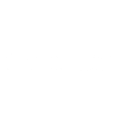 Portuguese Accelerator logo