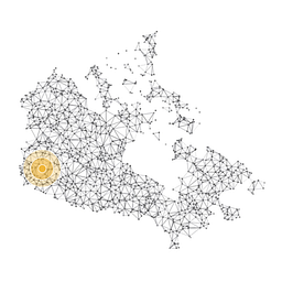Quantum BC image
