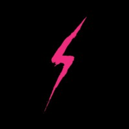 Savage Ventures logo