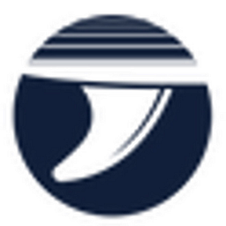 Single Fin Ventures logo