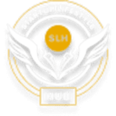 Startup Lifestyle Hub logo