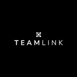 TeamLink logo