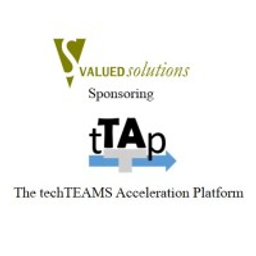 VALUEDsolutions _________________ Maximizing Commercial Potential logo