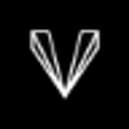 Venice Ventures logo