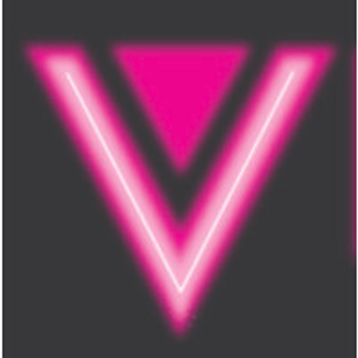 Verdicti Ventures logo