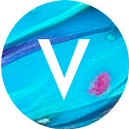 Vivid Vision | Venture Studio logo