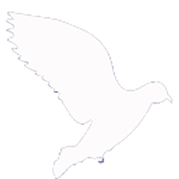V-NEST logo