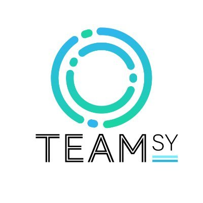 TEAM SY logo