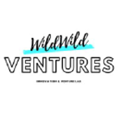 WildWildVentures GmbH logo